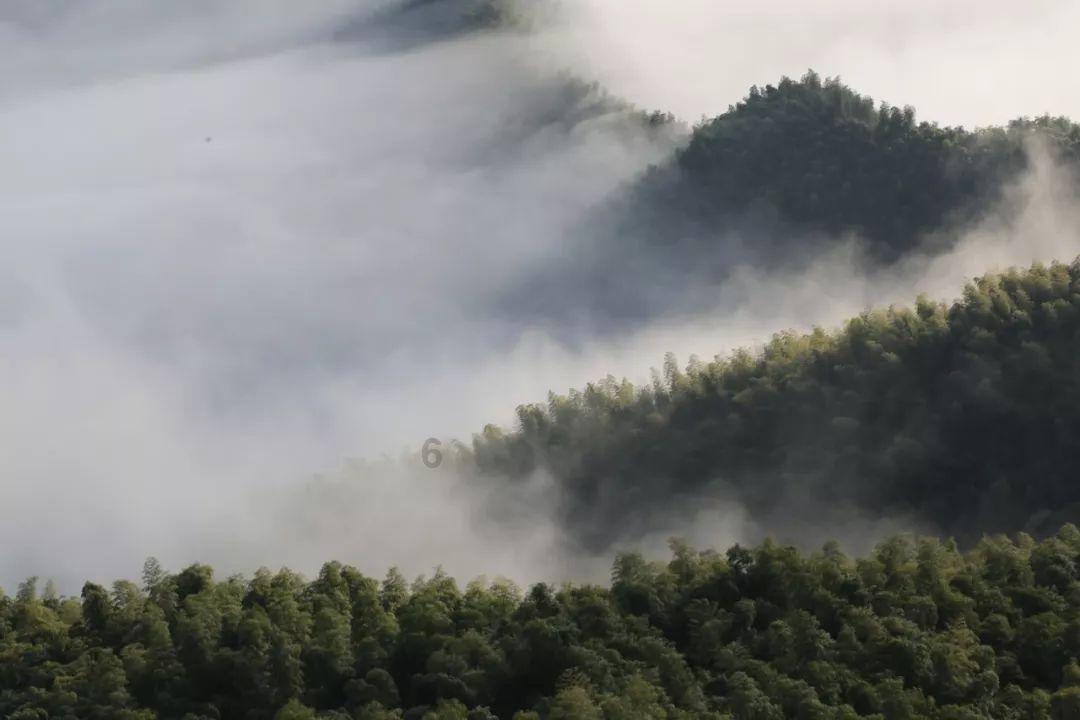 电脑突然黑屏，主机发出响声怎么办？